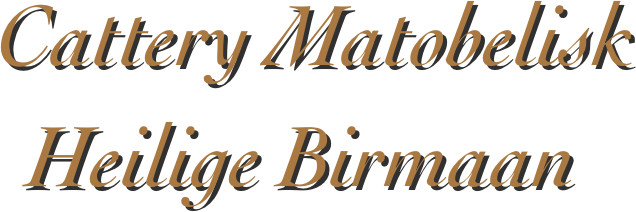 Cattery Matobelisk
  Heilige Birmaan